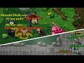 Dimensional Zone - w/Friends - PXG - Giant Sun Flora - King Raticate