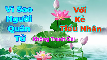 Vì Sao Người Quân Tử Không Tranh Cãi Với Kẻ Tiểu Nhân | TÂM THANH THANH TỊNH