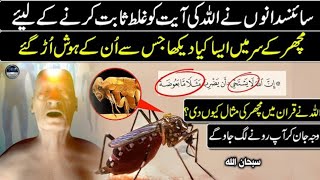 Why Did Allah Create Mosquitoes? The Answer Will Shock You -  "Miracle of the Quran"