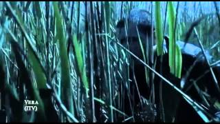 William Rush Showreel