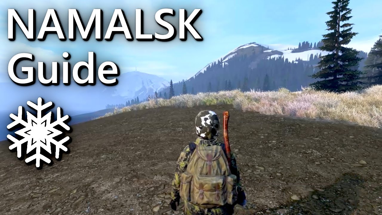 29 Kills in ONE LIFE on Namalsk | DOMINATING DayZ's MOST HARDCORE Map