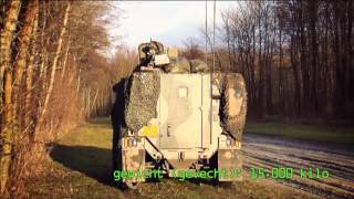 Bushmaster
