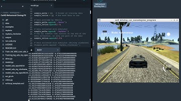 Behavior Cloning - Driving with CNN