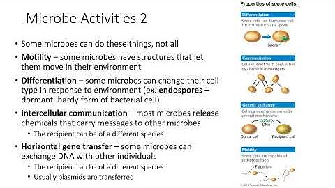 Ch 1: Exploring the Microbial World
