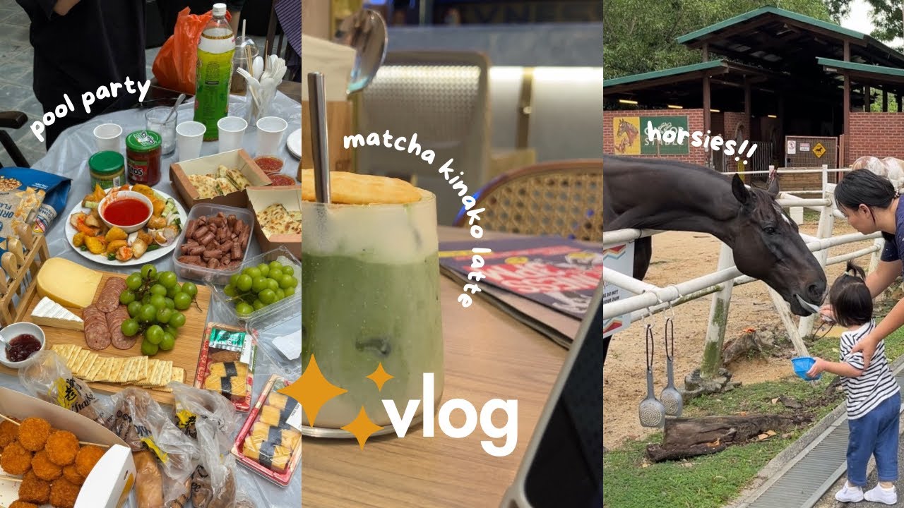 singapore vlog 🧚🏼‍♂️ new job officially, park strolls & stable, cheese board