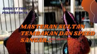 Download Lagu Konin Full Isian speed rapat Dengan Jeda | bird sound therapy MP3 Download Lagu Konin Full Isian speed rapat Dengan Jeda | bird sound therapy MP3