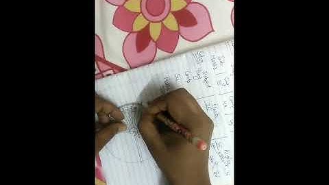 Class 8th Ch 19 Graphical Representation Of Data