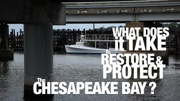 PSA: What does it take to restore and protect the Chesapeake Bay?