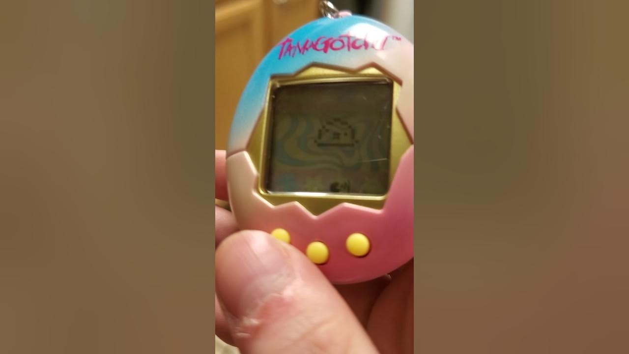 How u take care of a tamagotchi - YouTube - How To Take Care Of A Tamagotchi