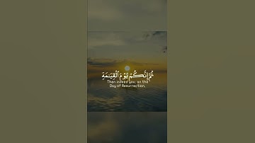 اكتب شيء تؤجر عليه 💬🌹ماتيسر من سورة الزمر لفضيلة الشيخ د. ماهر المعيقلي