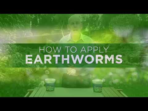 How to Use Earthworms in Your Garden