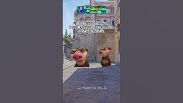 Никогда не регай соло #cs2 #cs2funny #cs2clips #csgo #cs2memes #кс2 #кс2мемы #кс2приколы #knifex #cs