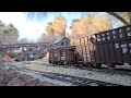 Living Desert Mini Train Video by Chi 2023