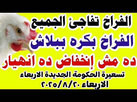 اسعار الفراخ اليوم سعر الفراخ البيضاء اليوم الاربعاء 20 8 2025 في مصر جمله وقطاعي