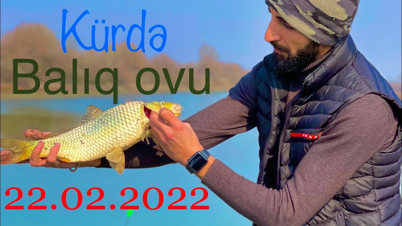 Kür çayında balıq ovu | рыбалка на реке Кура | fishing |
