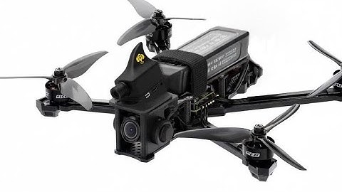 Cyberbee -video for the exhibition