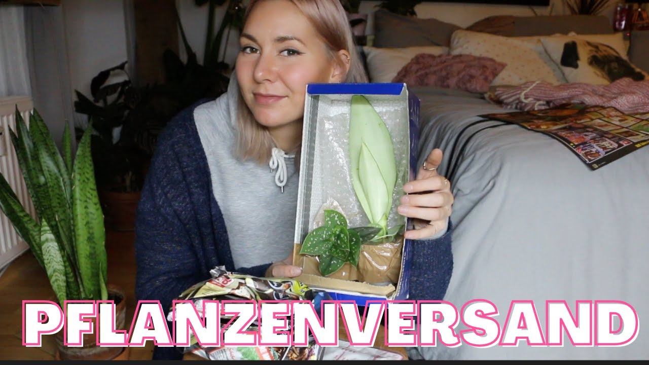 So verpacke ich Pflanzen fr den Versand | Pflanzen versenden