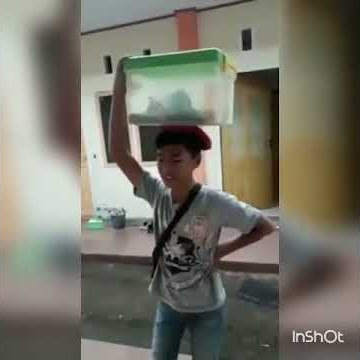 Penjual nasi kuning yang suara nya sngat merdu!