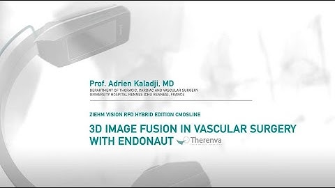 Ziehm Vision RFD Hybrid Edition: 3D Image Fusion in vascular surgery with EndoNaut