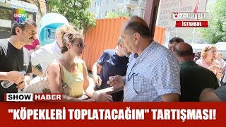 ''Köpekleri toplatacağım'' tartışması! Resimi