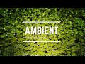 Deep Focus Ambient Study Music 24/7, Deep Focus Music For Studying & Concentration
