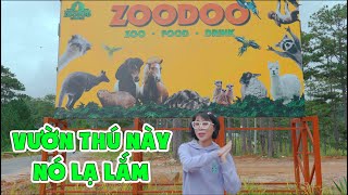 Đi Thăm Vườn Thú Zoodoo Ở Đà Lạt