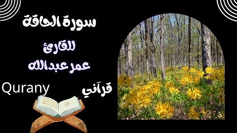 سورة الحاقة ❤️💥😍🥰❤️😍❤️ القارئ عمر عبدالله تلاوة رائعة جدا 💥❤️💥