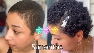5 MONTH HAIR UPDATE | The Best Hair Length