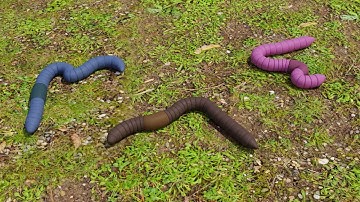 Worm Blender Tutorial