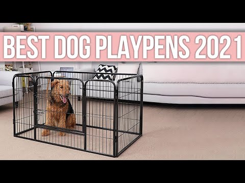 Video: Playpens Anjing Terbaik dan Pena Latihan untuk Indoor dan Outdoor