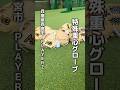 球速速くなるのか、ラプソードで徹底解析🔥