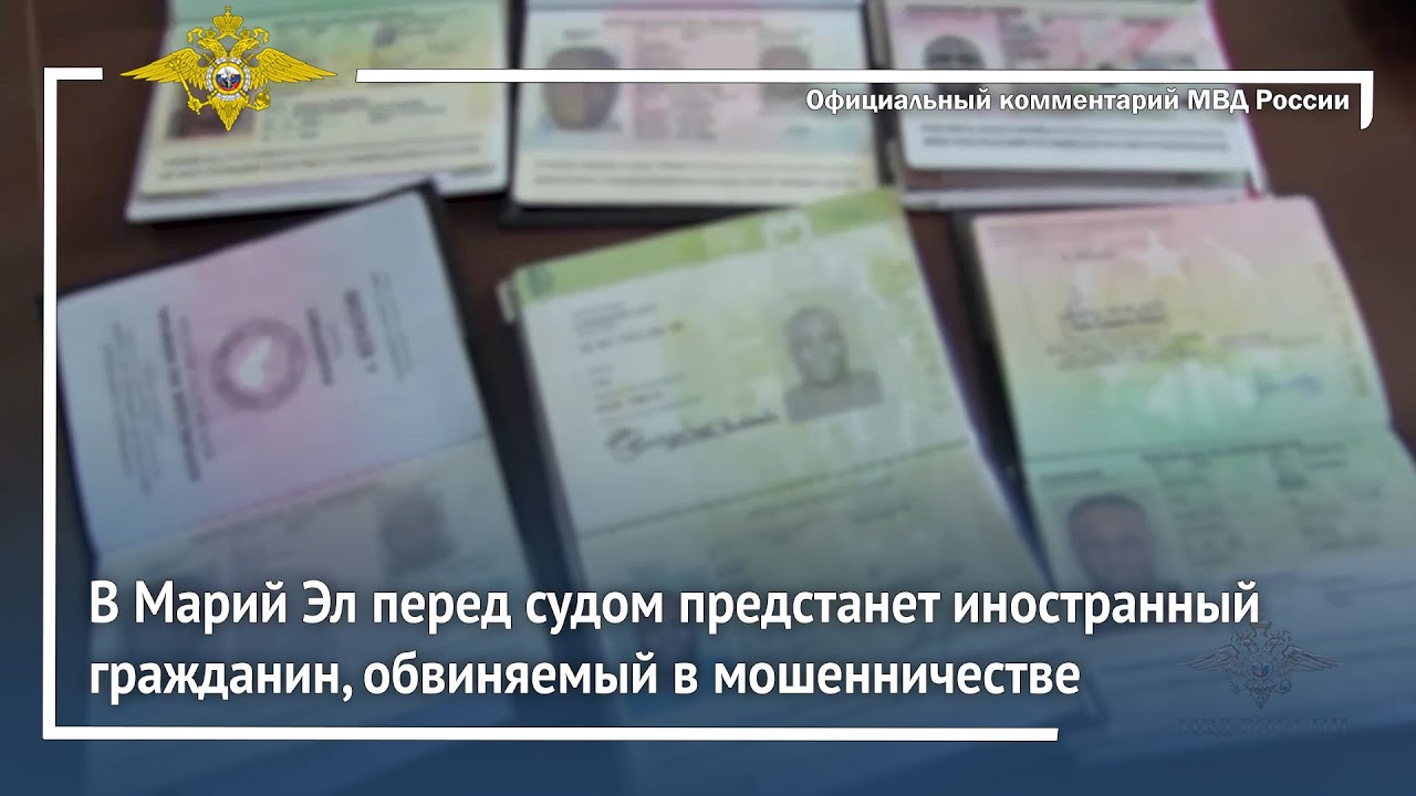 Ирина Волк: В Марий Эл перед судом предстанет иностранный гражданин, обвиняемый в мошенничестве