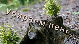 Как умертвить пень/дерево с корнями.