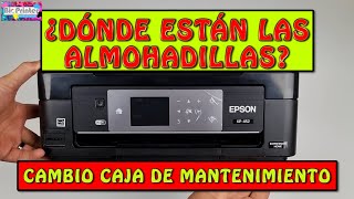 DONDE ESTAN LAS ALMOHADILLAS EN EPSON XP-452. CAMBIO CAJA DE MANTENIMIENTO. by Bioprinter 469 views 6 months ago 1 minute, 53 seconds