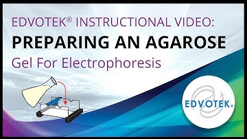Preparing an Agarose Gel For Electrophoresis - Edvotek Video Tutorial