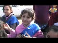 الفراشة والنحلة