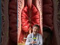 Sodbrennen verstehen: Das Geheimnis der Magenklappe#Hormone #DrJonasStein