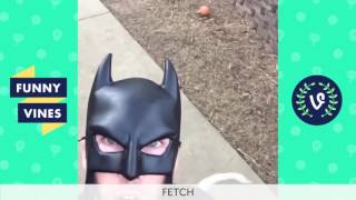 Funny BatDad Vine Compilation (w/Titles) part 7