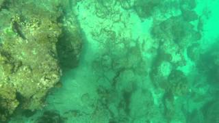 Phi Phi, Thailand 2014. Tjom and Daniel go underwater at Phi Phi Lei.