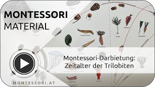 Montessori-Darbietung: Zeitalter der Trilobiten [Österreichische Montessori-Akademie, Ausbildung]