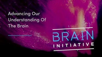 Dr. Philip Troyk and The BRAIN Initiative®