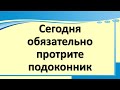 Сделайте это и подоконник будет привлекать счастье, удачу, благополучие деньги