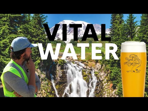 Vídeo: Melhores coisas para fazer em Yakima Valley, Washington