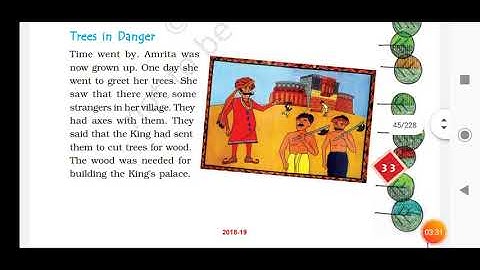 "THE STORY OF AMRITA " CHAPTER 4  CLASS 4 EVS