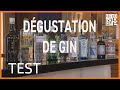 Gins secs quels sont les meilleurs  aberts