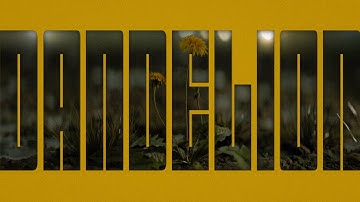 Dandelion - Process of making scene in Blender