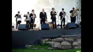 Blues Brothers Brass Band - Chicken ... Sound Test