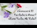 😻¿Conoceré El Verdadero Amor?😻 ¿Está Ya En Mi Vida? ⁉️ Tarot Interactivo Amor