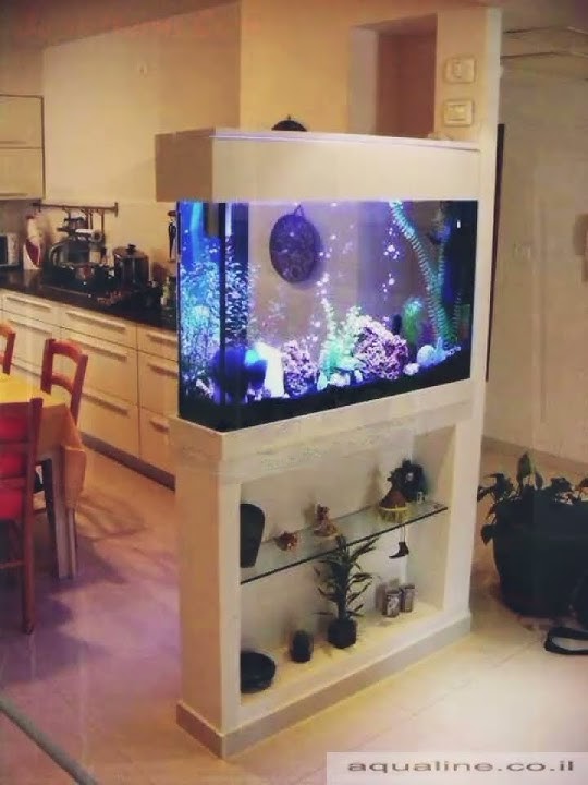 Ide Dekorasi Akuarium Dinding #interior #dekorasi #akuarium