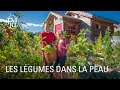 Cette famille a choisi l’autonomie alimentaire et produit presque tout ce qu’elle mange